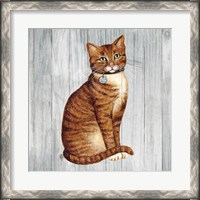 Framed Country Kitty IV on Wood