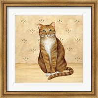 Framed Country Kitty II