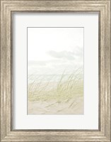 Framed Beach Grass I