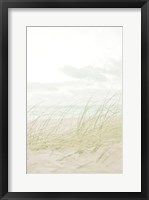Framed Beach Grass I