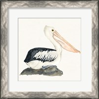 Framed Tropical Fun Bird II