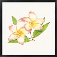 Framed Tropical Fun Flowers I