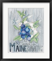 Framed 'American Berries II' border=