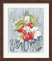 Framed American Berries III