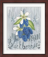 Framed American Berries IV