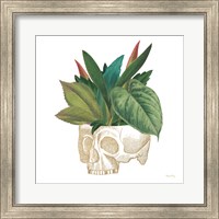 Framed Brainstem II