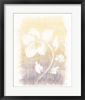 Framed Floral Silhouette II