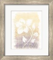 Framed Floral Silhouette II