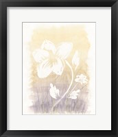 Floral Silhouette II Framed Print