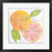 Framed 'Citrus Tile VIII' border=