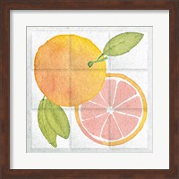 Framed Citrus Tile VIII