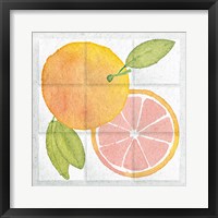 Citrus Tile VIII Framed Print