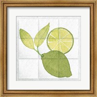 Framed Citrus Tile VII