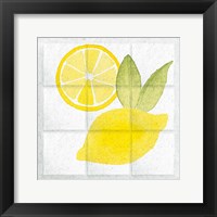 Framed Citrus Tile VI