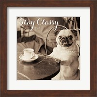 Framed 'Cafe Pug Stay Classy' border=