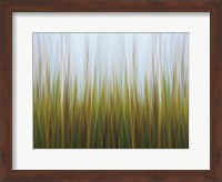 Framed Seagrass Canvas