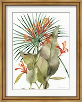 Framed Botanical Flame Lilies