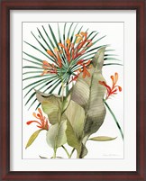 Framed Botanical Flame Lilies