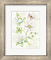 Framed Floral Delight V Butterflies