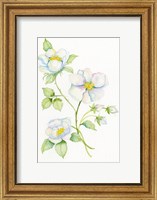 Framed Floral Delight V