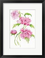 Framed Floral Delight III