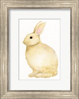 Framed Spring Bunny III White