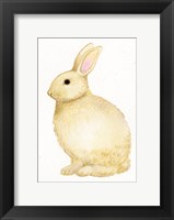 Framed Spring Bunny III White