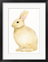 Framed Spring Bunny III White