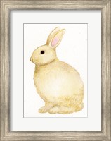 Framed Spring Bunny III White