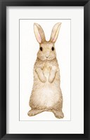 Framed Spring Bunny II White