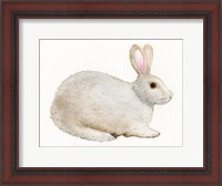 Framed Spring Bunny IV White