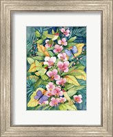 Framed Orchids and Hummingbirds