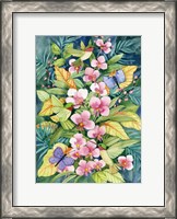 Framed Orchids and Hummingbirds