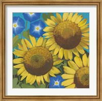 Framed Sunflower Time
