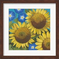 Framed Sunflower Time