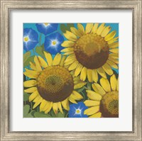 Framed Sunflower Time