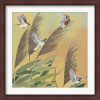 Framed Sparrows and Phragmates Sq