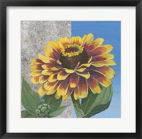 Framed Zinnia Spice and Silver