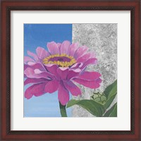 Framed Zinnia Pink and Silver