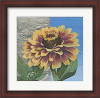 Framed Zinnia Spice