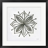 Patterns of the Amazon Icon XIV Framed Print