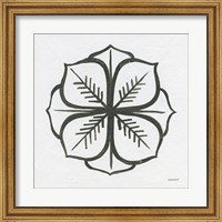 Framed Patterns of the Amazon Icon II
