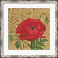 Framed Poppy with Pattern