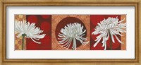 Framed Morning Chrysanthemums V