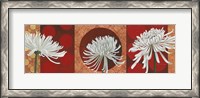 Framed Morning Chrysanthemums V