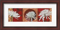 Framed Morning Chrysanthemums V