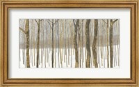 Framed Woods in Winter