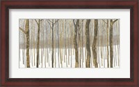 Framed Woods in Winter