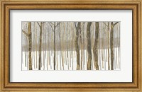 Framed Woods in Winter