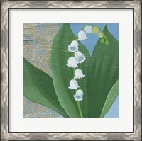 Framed Lilies of the Valley I